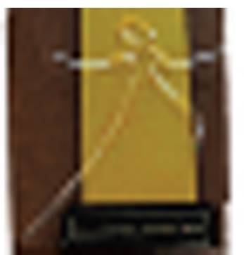 Best Afghan School Business Award