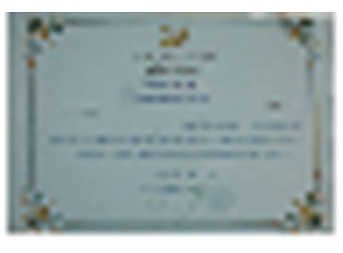 Best Afghan School Certificate